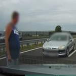 He managed to convince a motorist on the M4 to drive against traffic