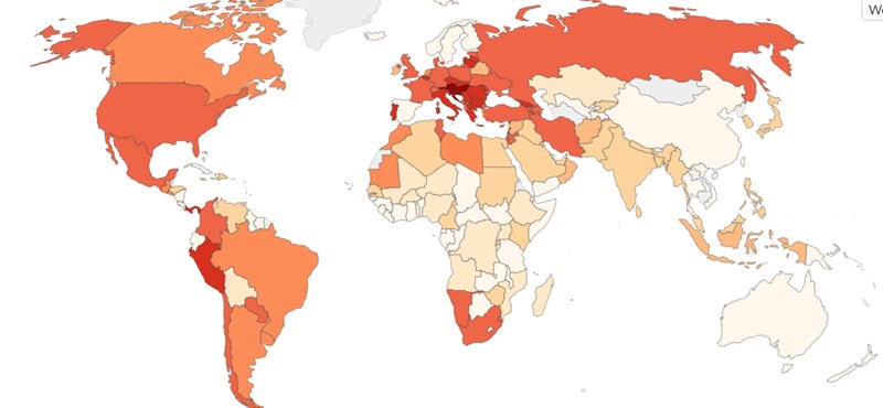 In proportion to our population, the coronavirus causes more deaths in the world