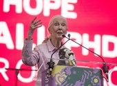 Jane Goodall: 