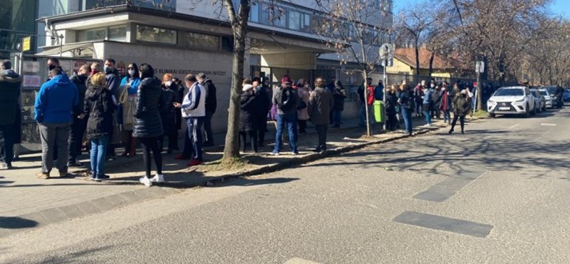 ATV: Huge lines of snakes for vaccines.