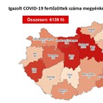 Coronavirus: the number of active cases increased by 175