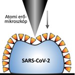 Hungarian Researchers: There's a Reason Coronavirus Can Be So Contagious