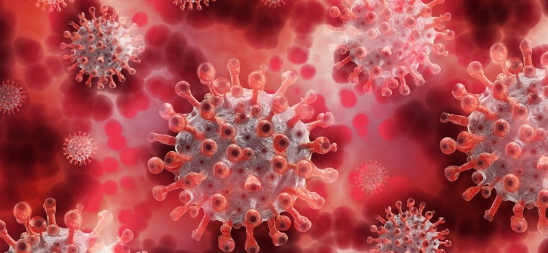 Hay 207 víctimas más del coronavirus