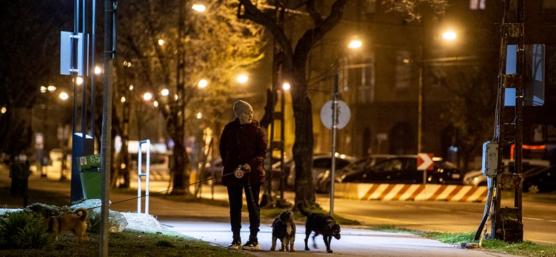 Police also captured seven dog walkers for violating the 500-meter rule.